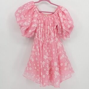 Molly Green $109 Small Baby Pink Floral Puff Sleeve Smocked Mini Babydoll Dress